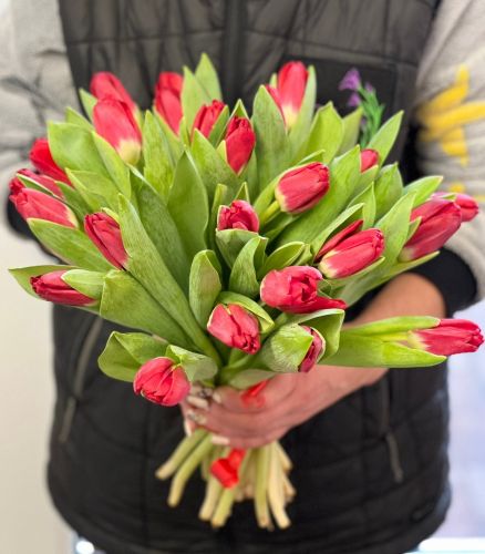 Купить букет из красных тюльпанов "Сабрина"